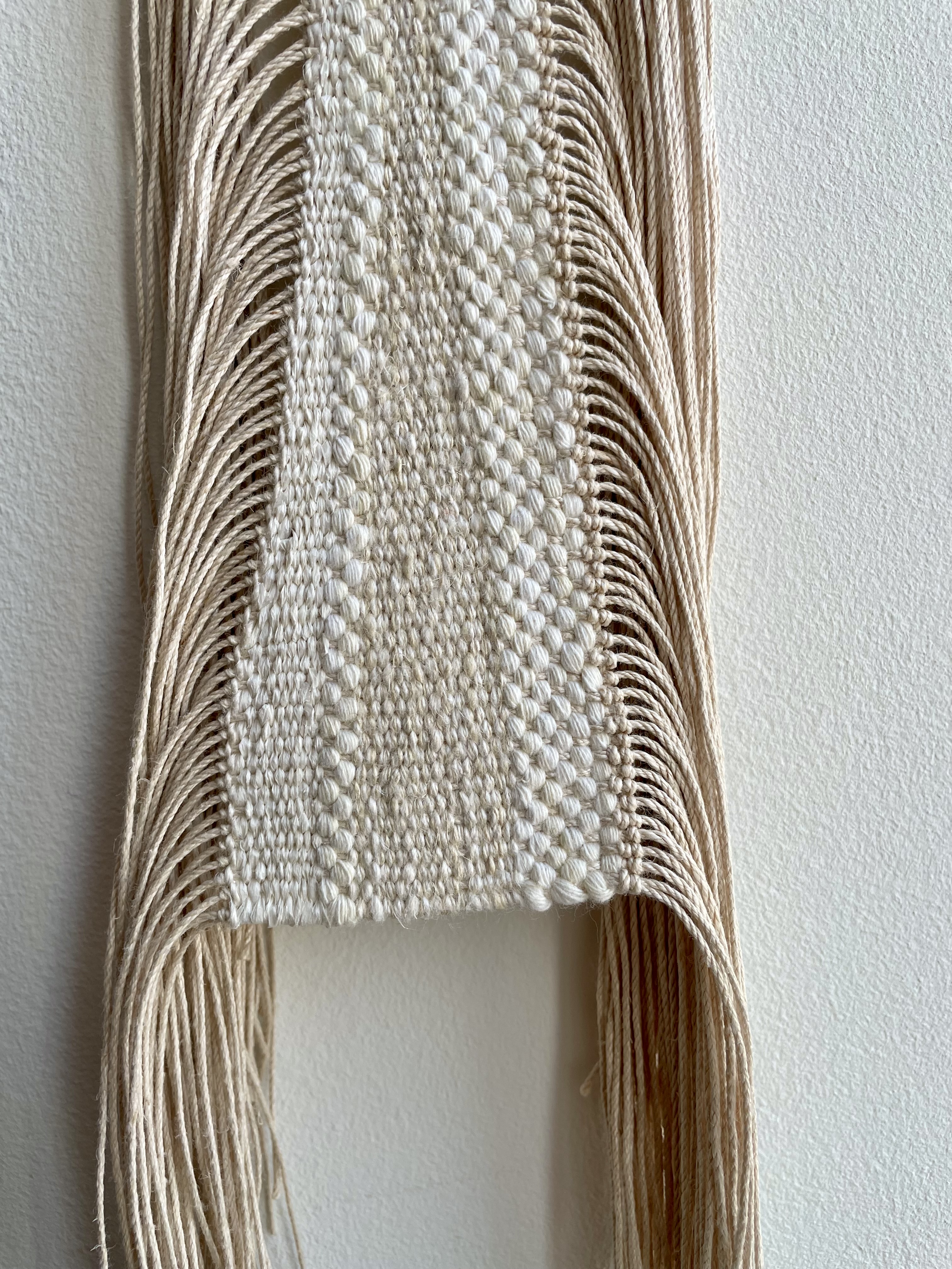 Desert Seeds textile project 2