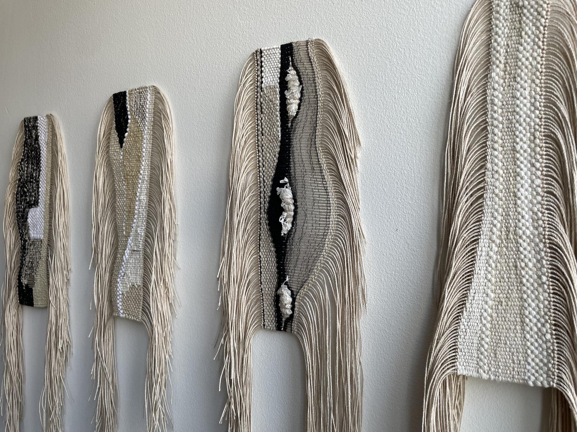 Desert Seeds textile project 3